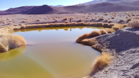 OJOS DE CAMPO